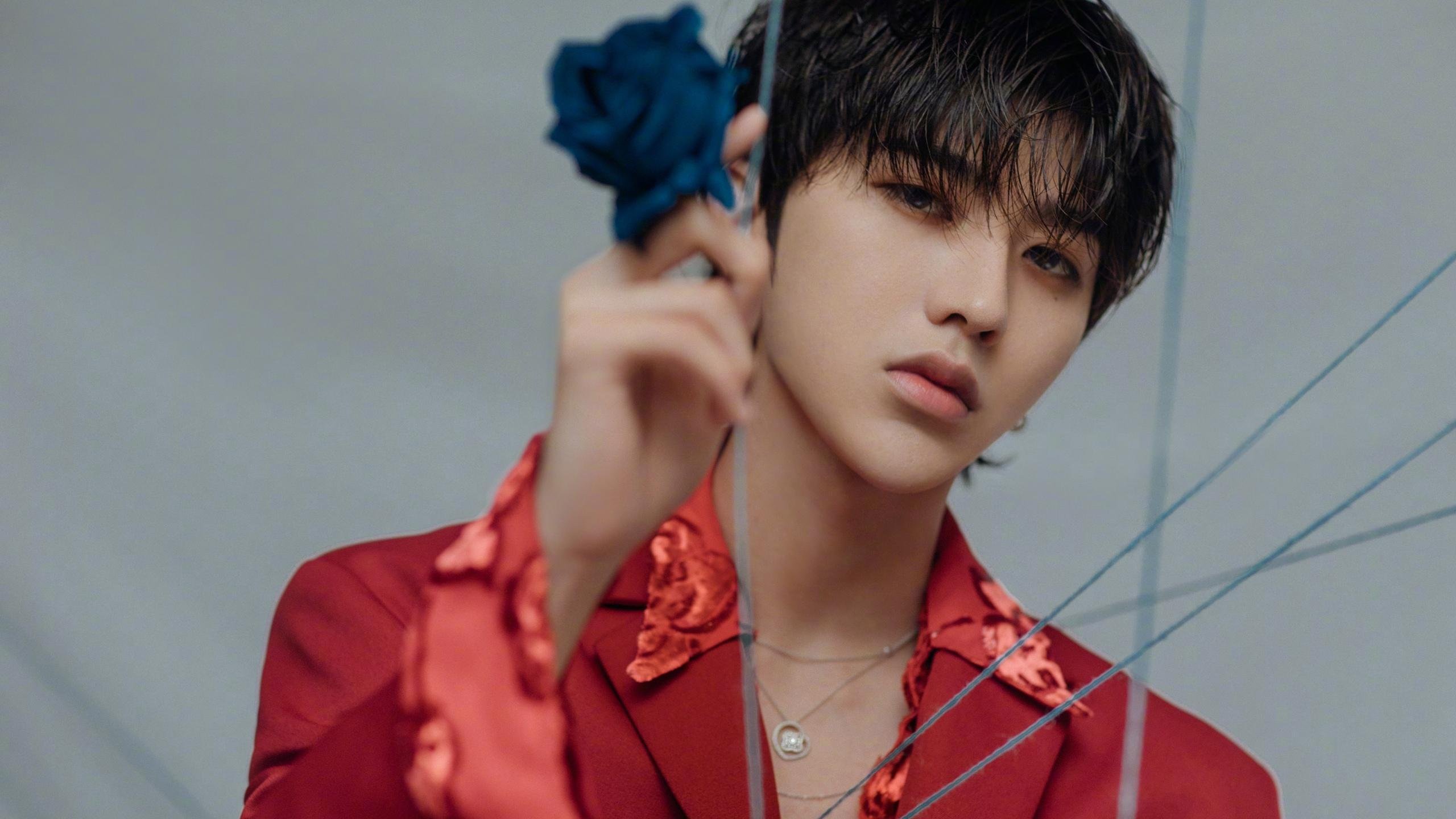 德甲“黑马”球队逆风翻盘，令人期待未来，德甲大球队