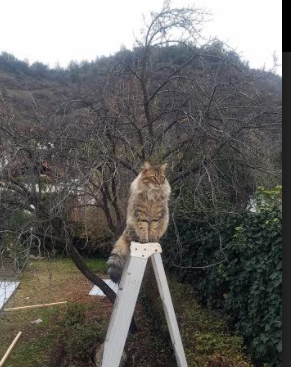 开云体育登陆入口-_快船团队协作，战胜劲敌_，快船队全称