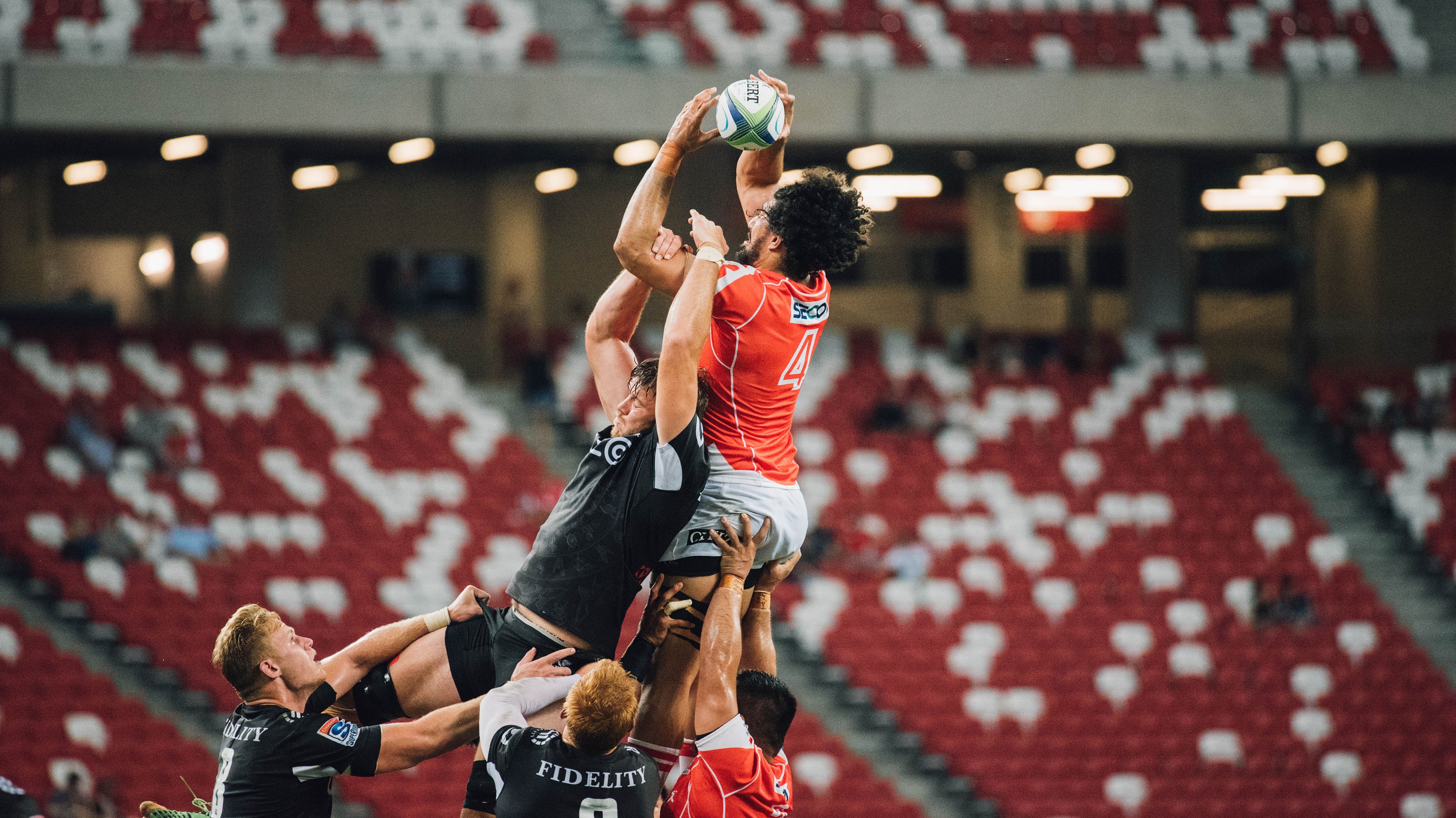 开云体育APP下载-“马丁·高尔西的强势崛起，成为阿根廷美洲狮队的未来支柱”